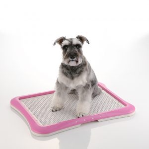 Puppy Training Mesh Tray_PINK_Inuse