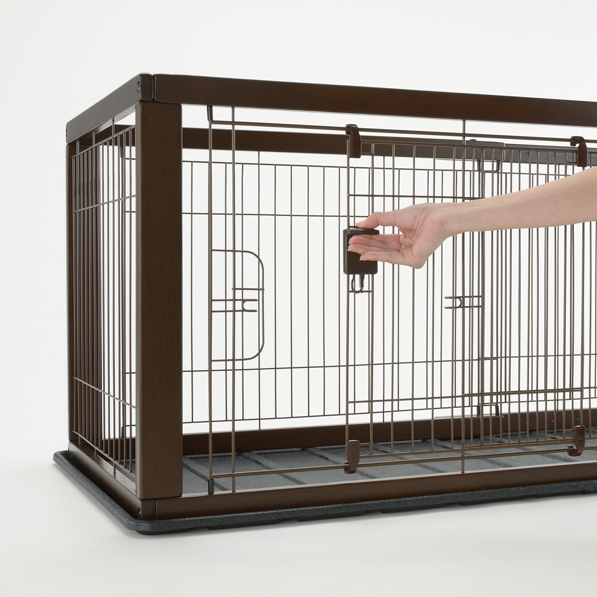 Why Crate Training is Important - Richell USA Inc.