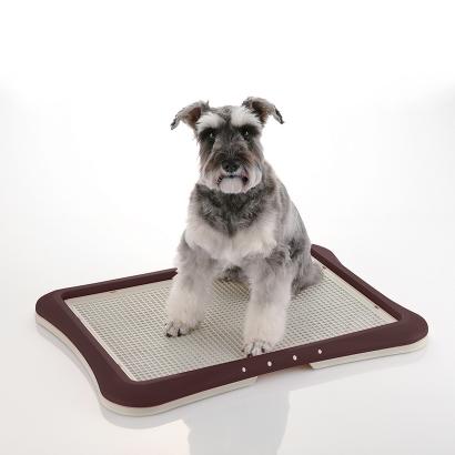 dog potty tray