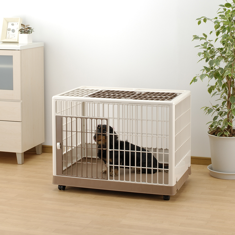 Why Crate Training is Important - Richell USA Inc.