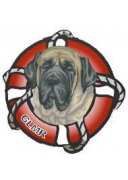 Great Lakes Mastiff Rescue