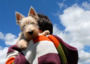 Fall Into Fun With Your Dog