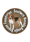Southern Nevada Beagle Rescue Foundation