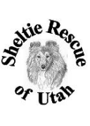 Sheltie Rescue of Utah