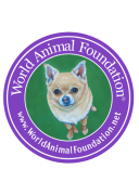 World Animal Foundation