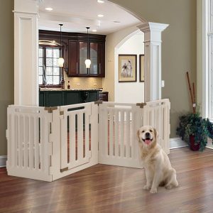 doggy gate