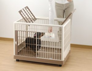 dog training kennel