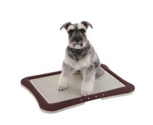 PAW TRAX® Mesh Training Tray