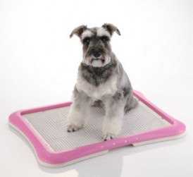 training dog potty box tray paw trax mesh litter cat