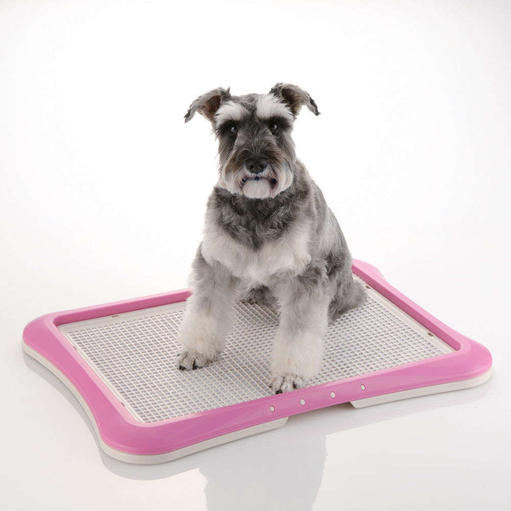 PAW TRAX® Mesh Puppy Potty Tray - Richell USA Inc.