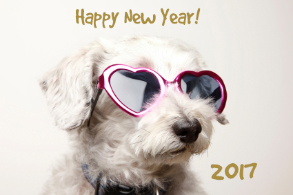 New Year's Resolutions for the Pet Owner