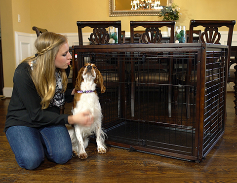 Pet gates and crates for your home - A Pup’s Perspective