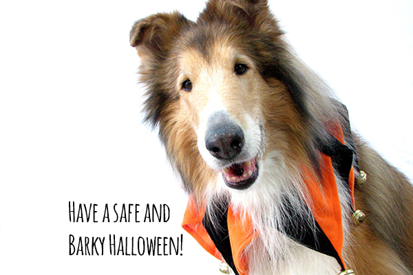 Halloween safety for your dog!