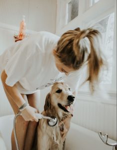 Dog Bathing Tips