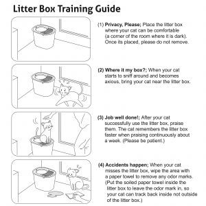 Litter Box Training Guide