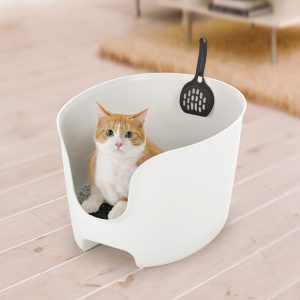 cat inside round high-sided white litter box