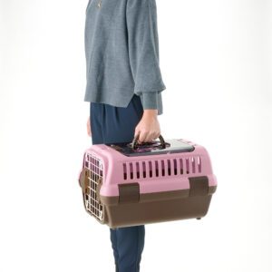 Portable, handheld pet carrier