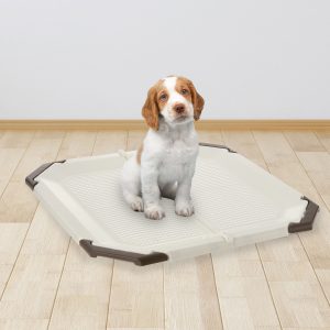 Puppy sits patiently on potty pad holder