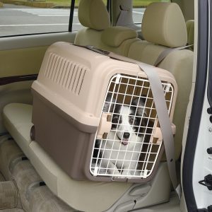 Travel Pet Kennel with dog