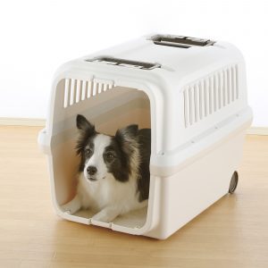 plastic white pet carrier with pomerianian mix inside