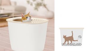 Cute cat pops her head out of kitty litter box