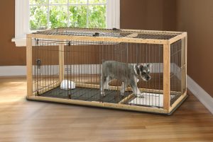 scottie dog inside spacious dog crate