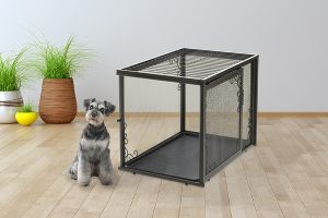 Cute Scottish Terrier sits beside fancy dog crate