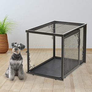 scottish terrier sits next to open fancy dog crate
