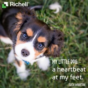 Cute puppy with quote "My little dog a heartbeat at my feet" by Edith Wharton