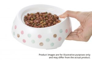 smart lid shallow pet feeding bowl