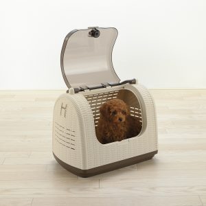 cute poodle puppy sits in his wicker pet carrier