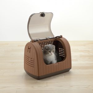 cute cat sists in her wicker pet carrier