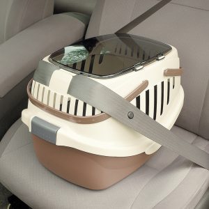 how to strap plastic pet carrier into car seatbelt