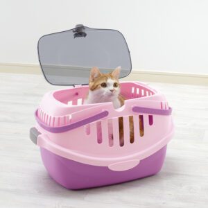 adult cat sits in plastic pet carrier