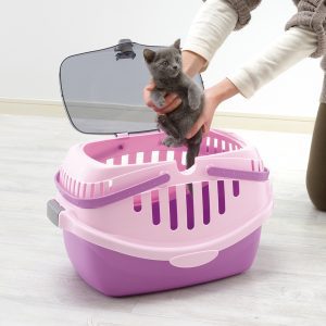 tiny kitten being placed in pink pet carrier