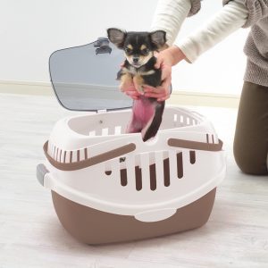 lifting small chihuahua out of plastic pet carrier