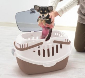 lifting small chihuahua out of plastic pet carrier