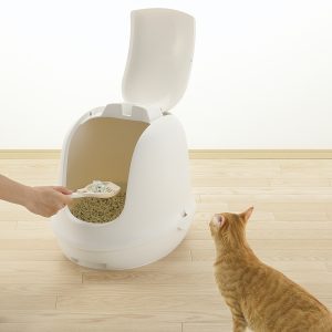 person scoops pet mess from kitty litter