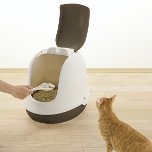 open lid kitty litter box with cat