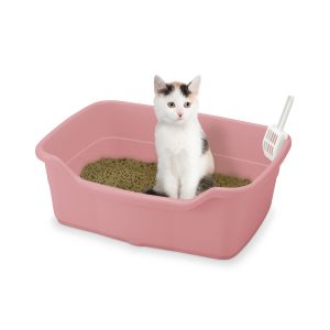 cat inside litter box