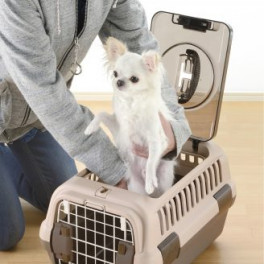 Lifting chihuahua out of carrier