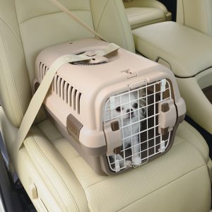 beige dog carrier strapped in car