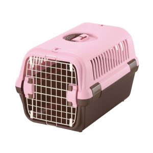 angle view small dog pet travel carrier