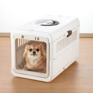 Happy long hair Chihuahua inside carrier