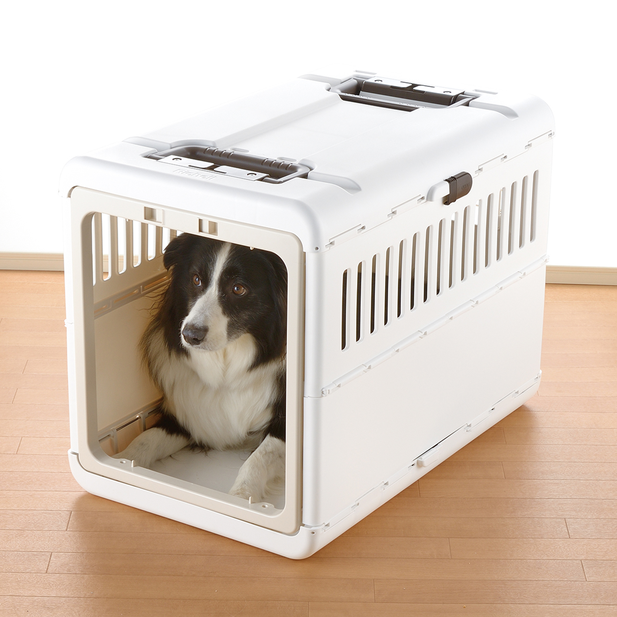 Foldable Pet Carrier, Dog and Cat Kennel