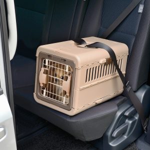 brown dog crate strapped into backseat of car