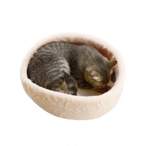 Gray cat curled in pet bed
