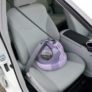 Cat carrier strapped into passenger car seat