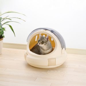 cute gray cat sits in plastic bed