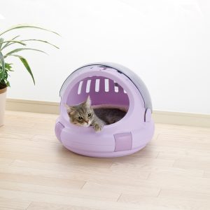 adorable cat leans out of cat bed